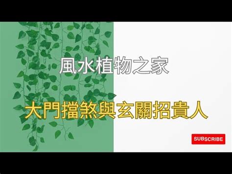 金錢樹擋煞|萬年青放玄關擋煞！屋內必備4招財植物 金錢樹讓你每。